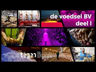 Zo ziet de Nederlandse voedselindustrie eruit (1/2) 